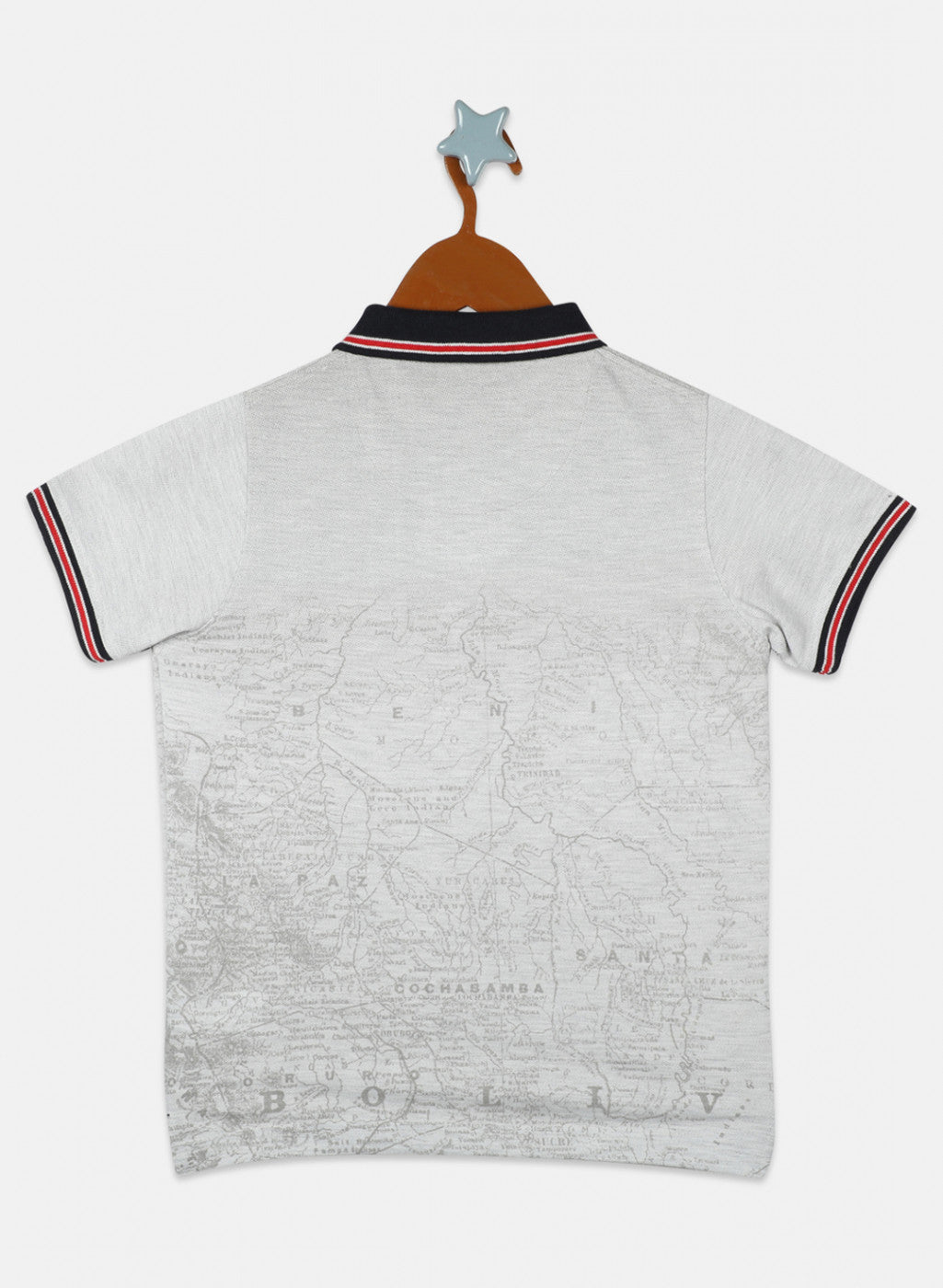 Boys Grey Printed T-Shirts