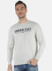 Men Grey Printed Sweatshirt