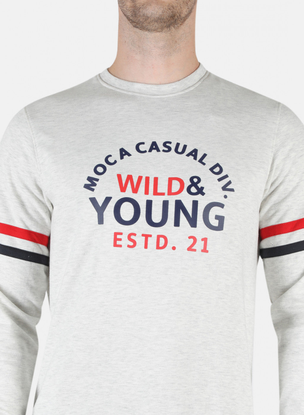 Men Grey Printed Sweatshirt