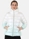Women Blue Zig-Zag Jacket