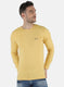 Men Yellow Solid T-Shirt