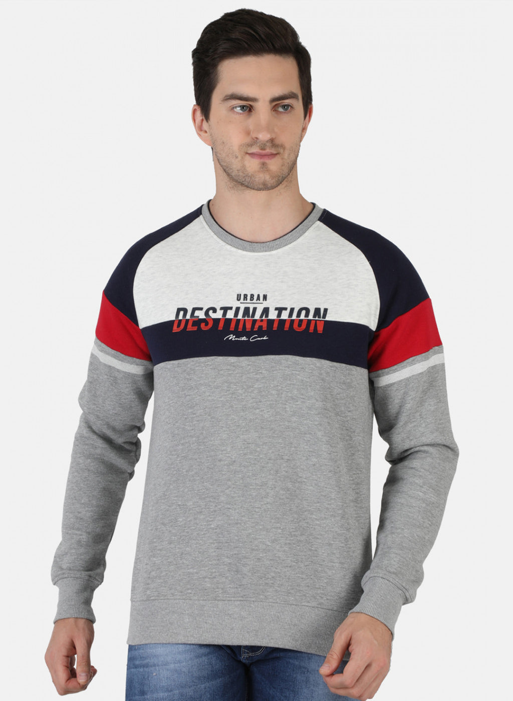 Men Grey Printed Sweatshirt