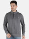 Men Grey Jaquard Sweatshirt