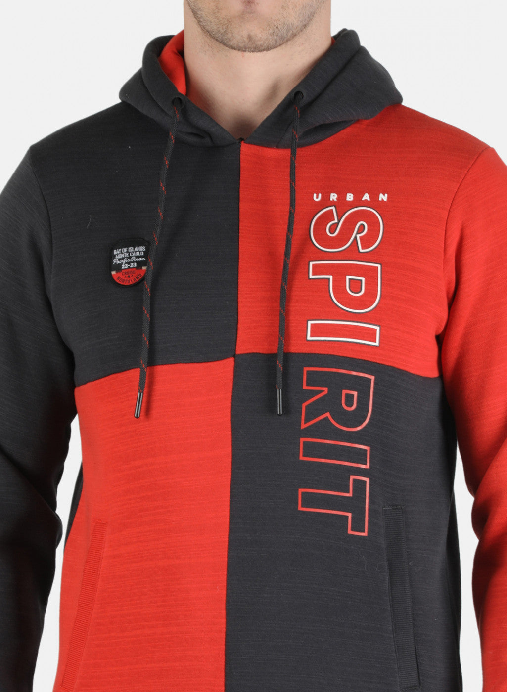Men Grey Printed Sweatshirt