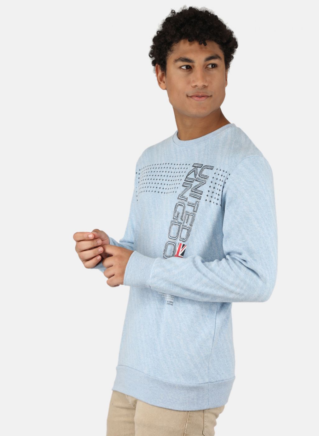 Men Blue Printed Sweatshirt