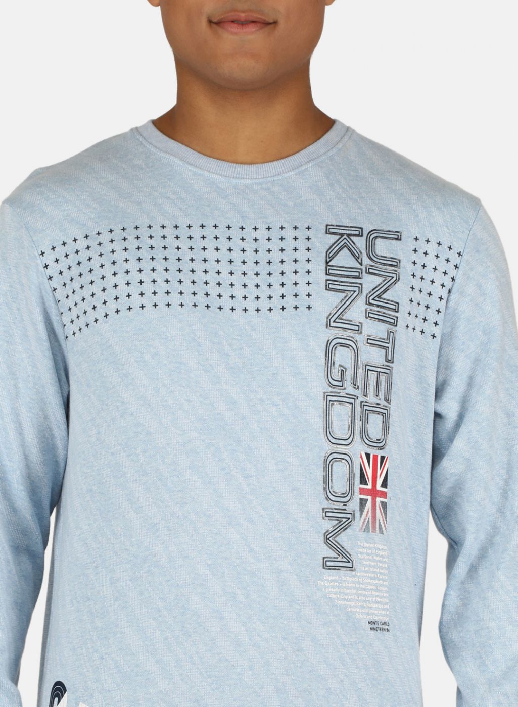 Men Blue Printed Sweatshirt