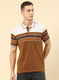 Men Brown Stripe T-Shirt