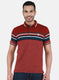 Men Maroon Printed T-Shirt