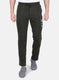 Men Olive Regular Fit Lower