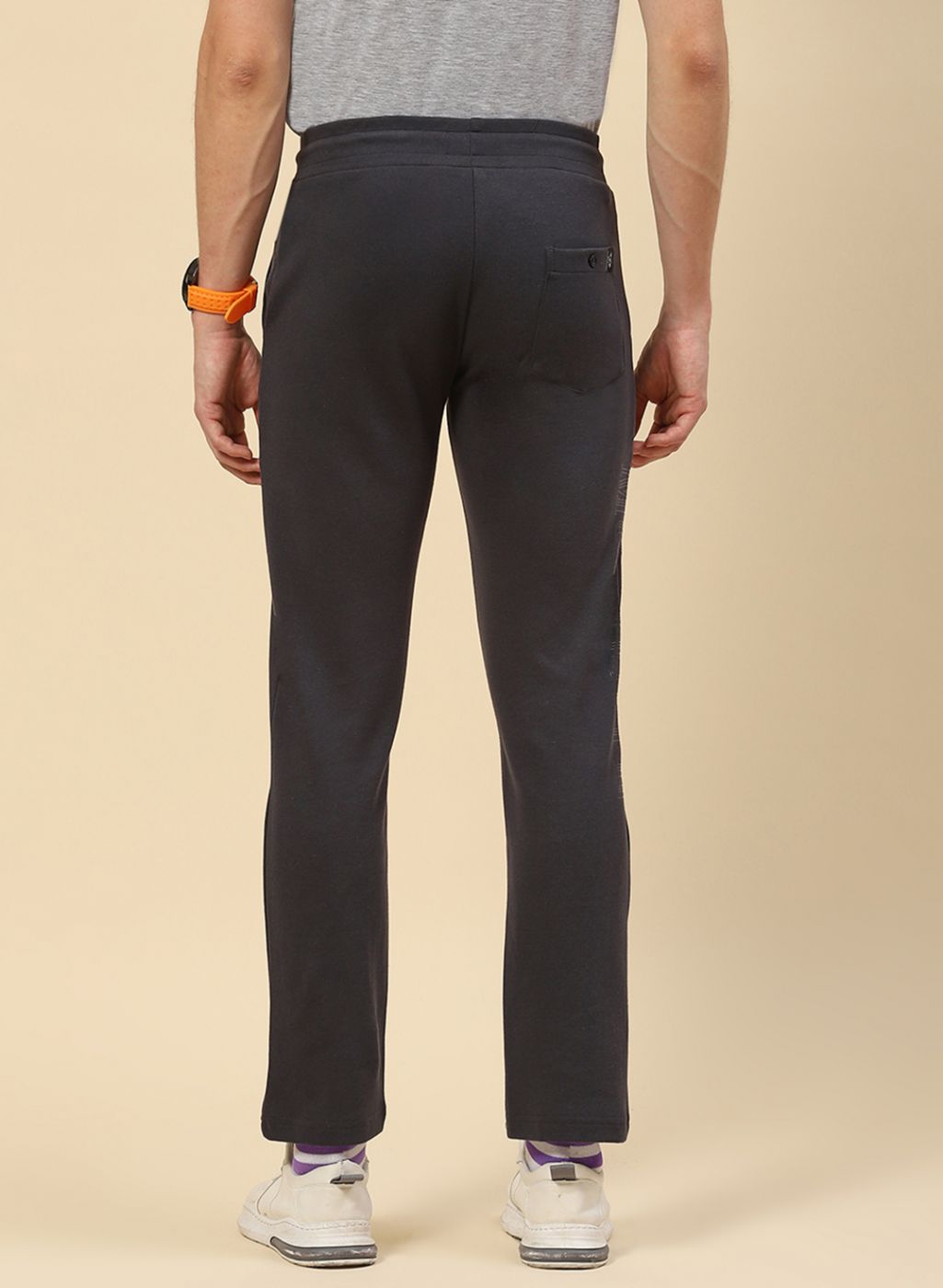 Men Grey Regular Fit Lower