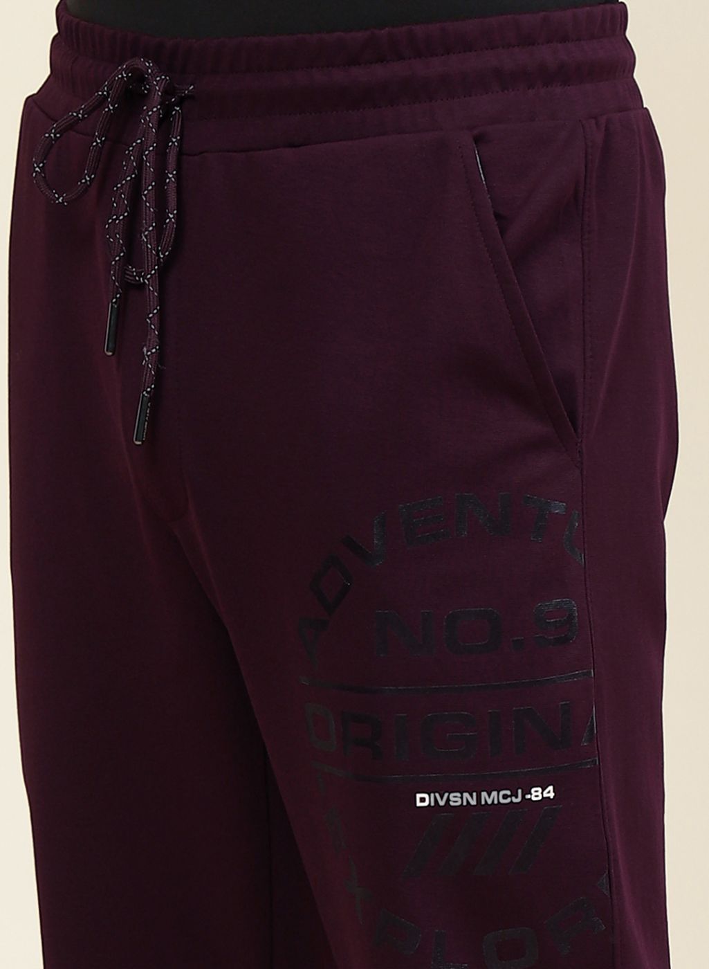 Men Maroon Regular Fit Lower