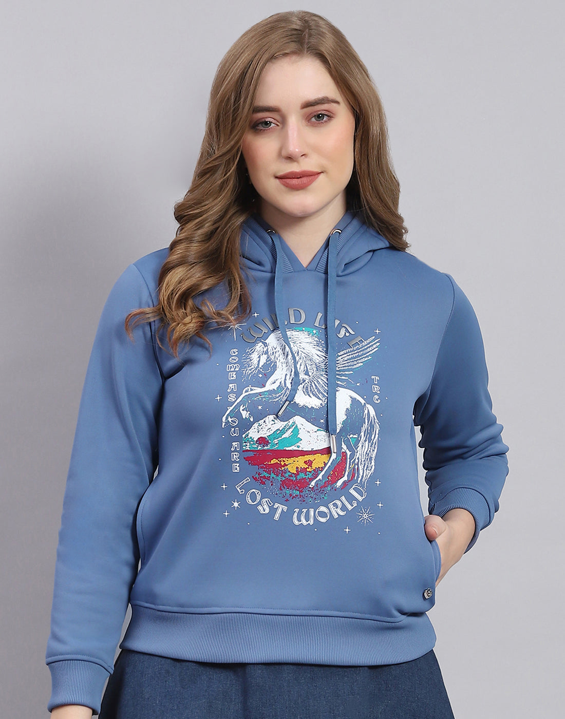 Women Blue Printed Hooded Full Sleeve Sweatshirt