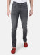 Men Grey Regular Fit Denim