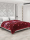 Printed Double Bed Blanket for Heavy Winter -2 Ply