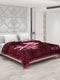Printed Double Bed Blanket for Heavy Winter -2 Ply