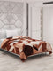 Printed Single Bed Blanket for Mild Winter -1 Ply