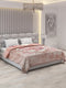 Printed Double Bed Blanket for Heavy Winter -2 Ply