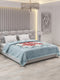 Printed Double Bed Blanket for Heavy Winter -2 Ply