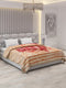 Printed Double Bed Blanket for Heavy Winter -3 Ply