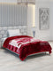 Printed Single Bed Blanket for Heavy Winter -3 Ply