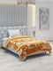 Printed Single Bed Blanket for Heavy Winter -3 Ply