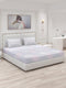 200 TC Cotton Double Bed Bedsheet with 2 Pillow Covers