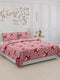 104 TC Cotton Double Bed Bedsheet with 2 Pillow Covers - Updated - Updated - Updated