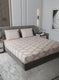 210TC Pure Cotton King Bedsheet with 2 Pillow Covers