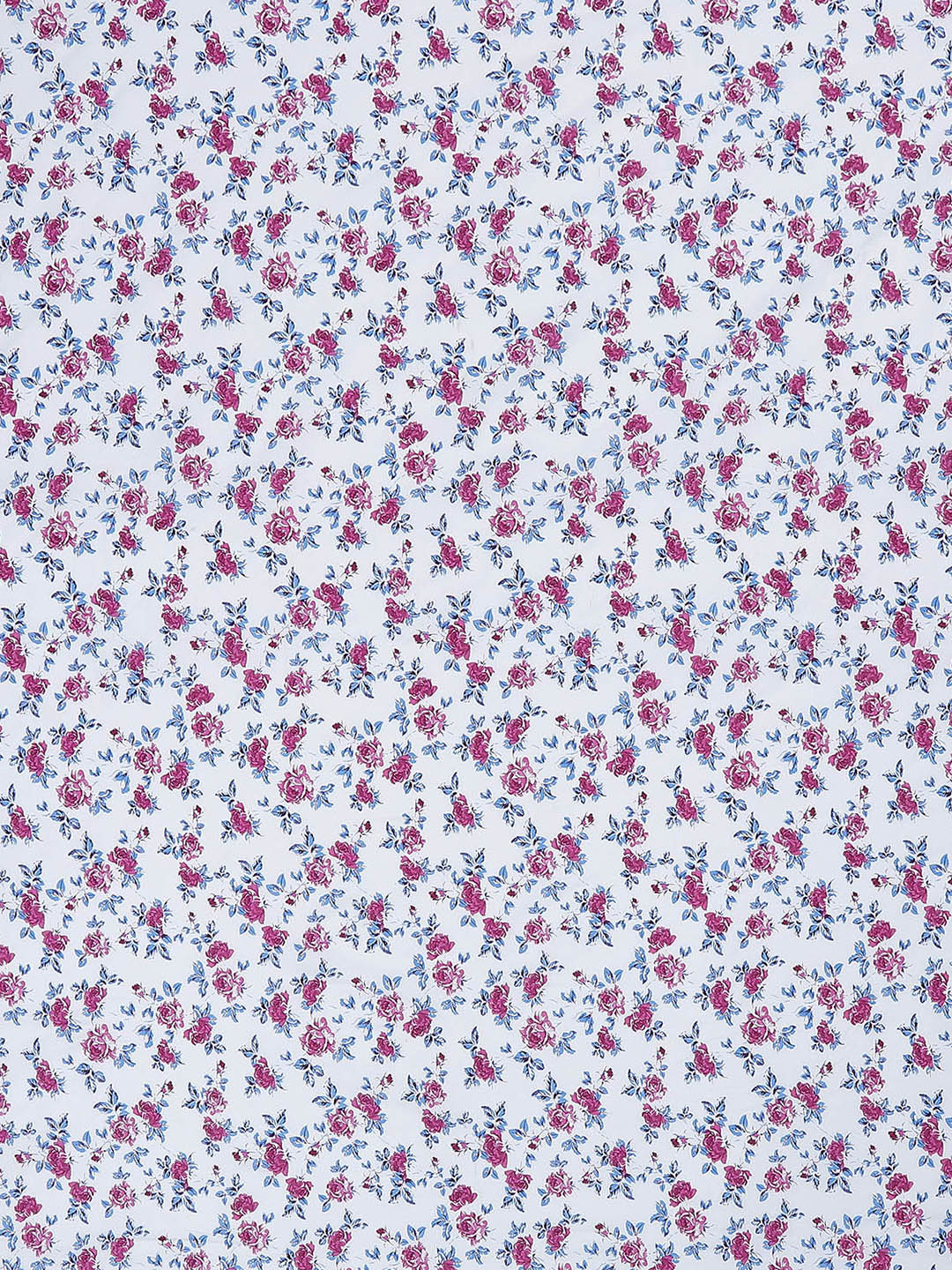 MOCA by Monte Carlo 104 TC Cotton Double Bedsheet with 2 Pillow Covers