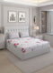 200TC Pure Cotton Queen Bedsheet with 2 Pillow Covers