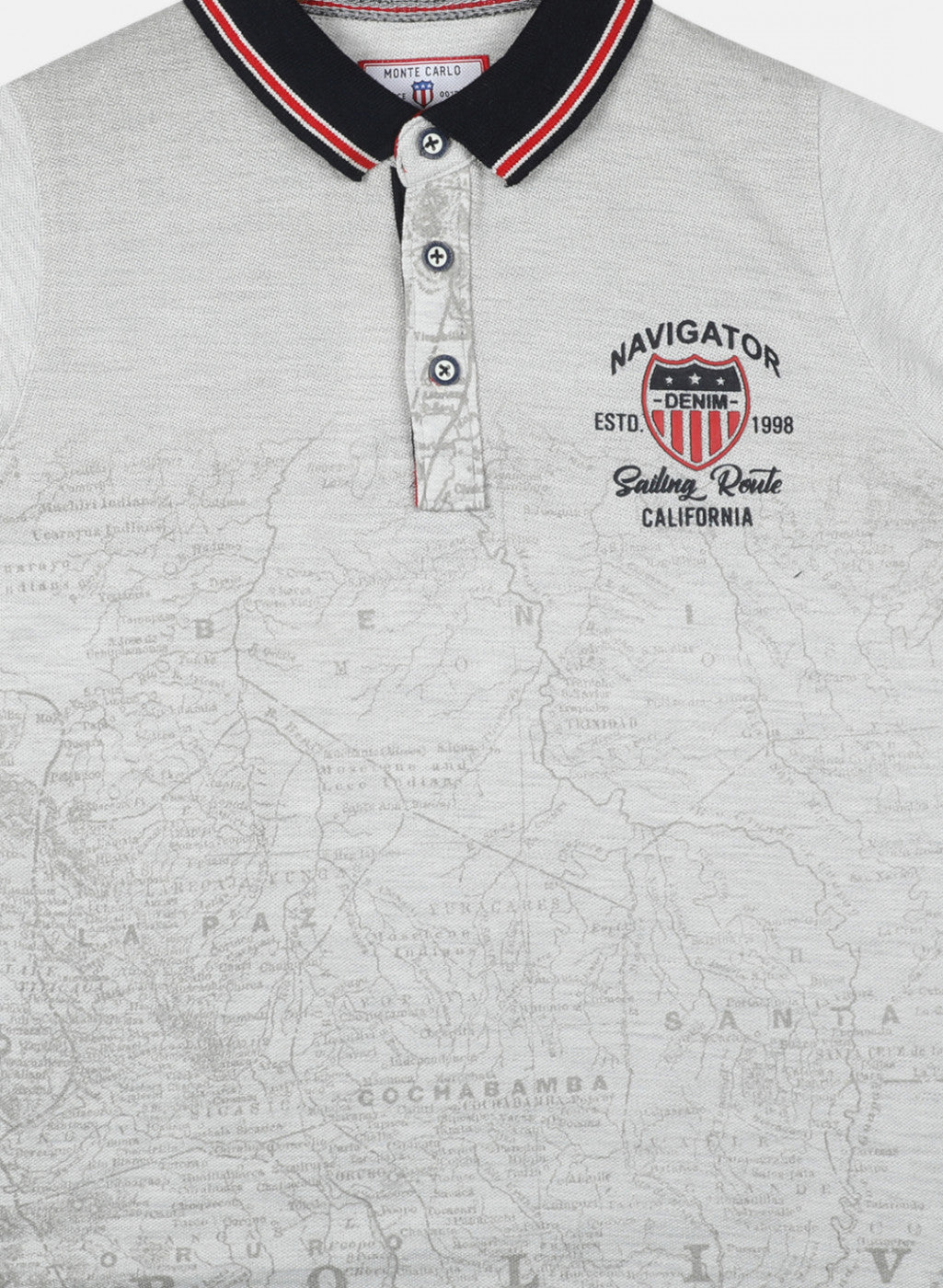 Boys Grey Printed T-Shirts