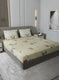 120TC Pure Cotton Queen Bedsheet with 2 Pillow Covers
