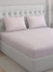 210TC Pure Cotton Queen Bedsheet with 2 Pillow Covers