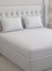 210TC Pure Cotton Queen Bedsheet with 2 Pillow Covers