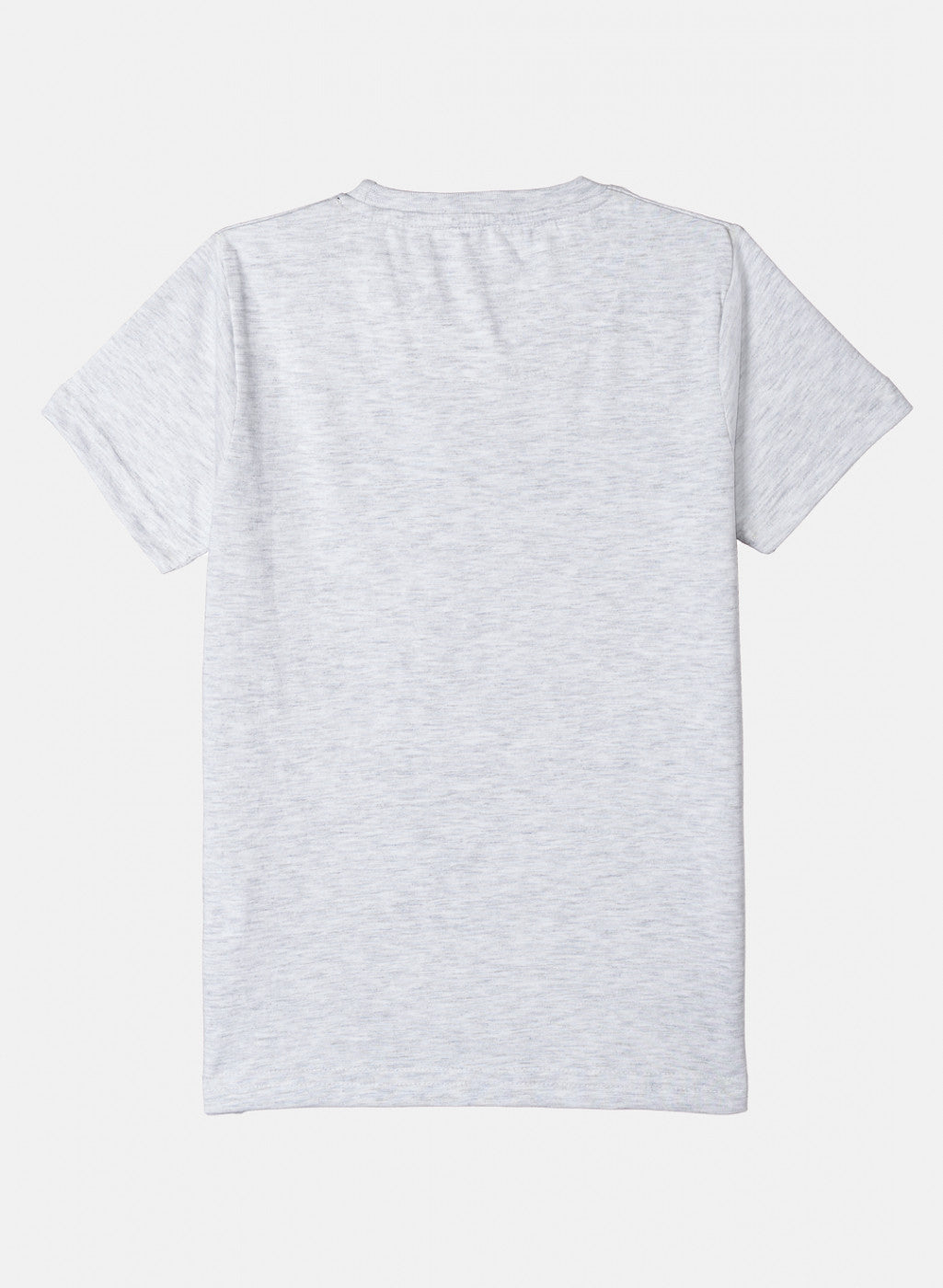 Boys Grey Printed T-Shirt