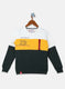 Boys Mustard & Green Printed Sweatshirt