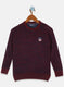 Boys Maroon Printed Pullover