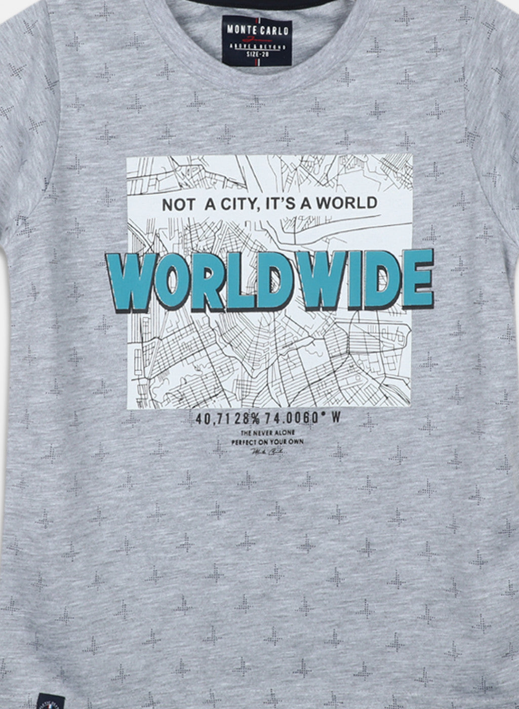 Boys Grey Printed T-Shirt