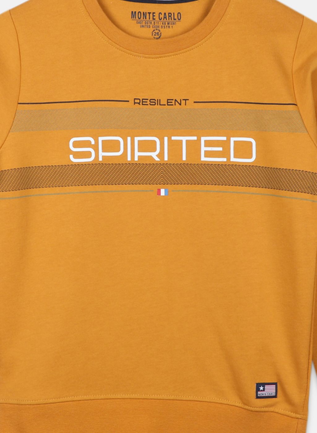 Boys Mustard Printed Sweatshirt