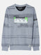 Boys Grey Printed Sweatshirt