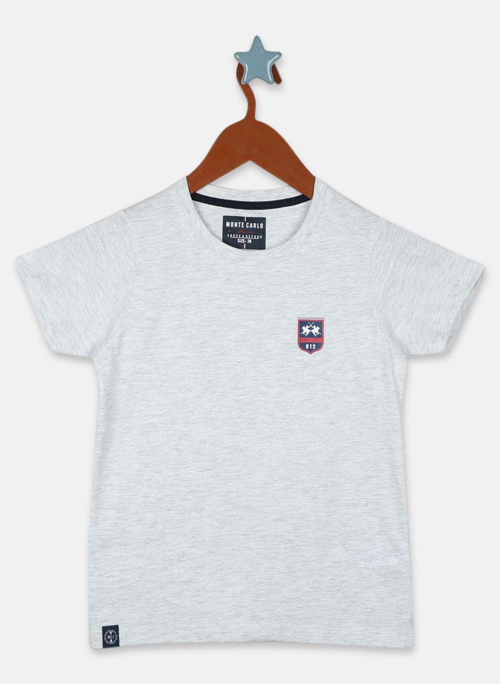 Boys Multi Color Printed T-Shirt