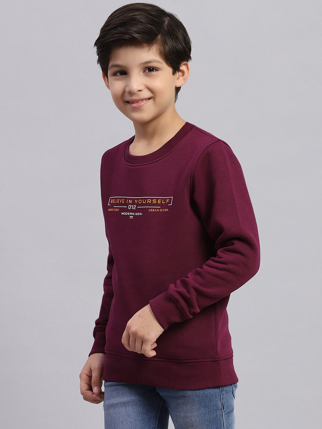 Boys Purple Printed Round Neck Full Sleeve Sweatshirt