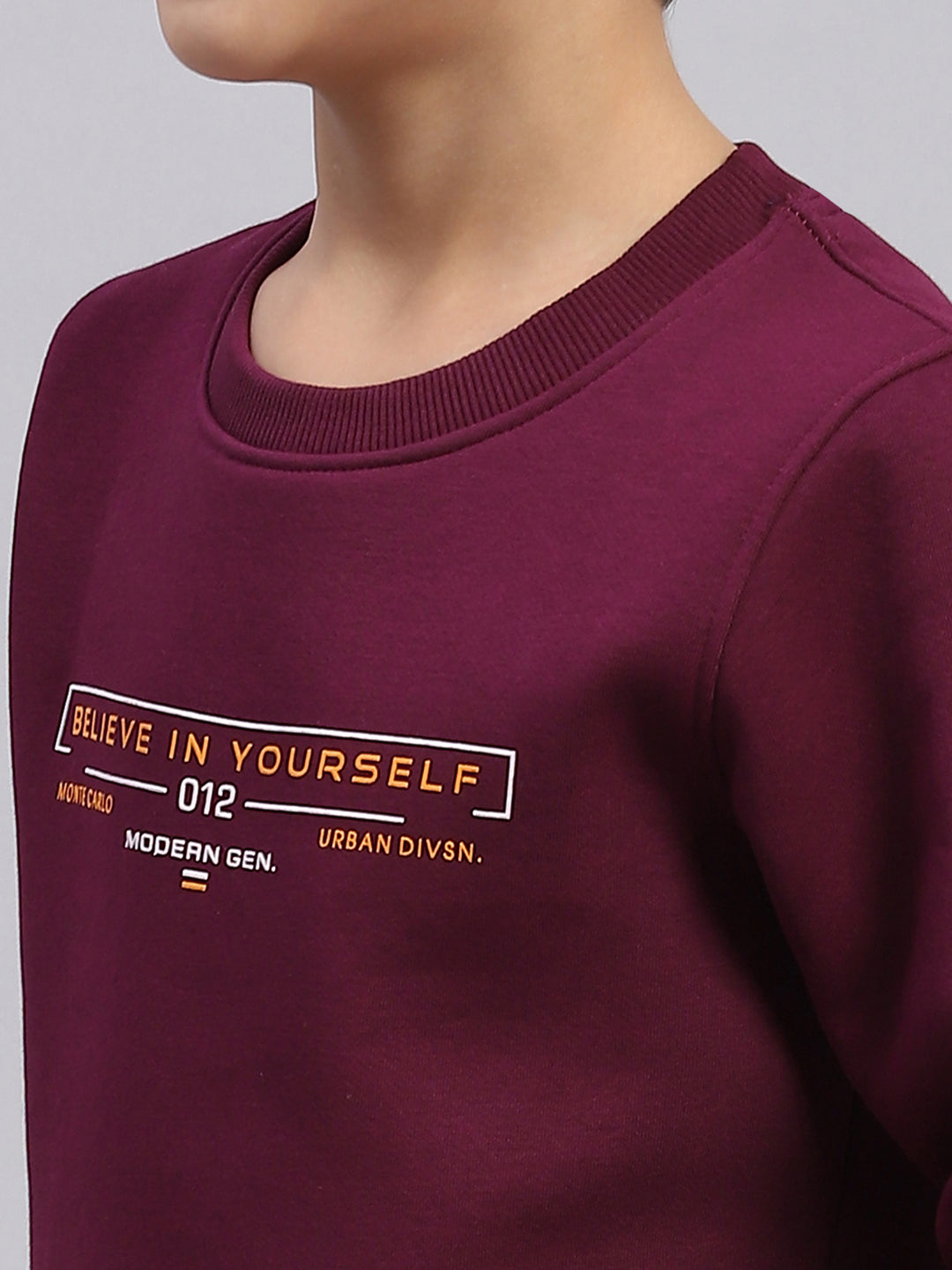 Boys Purple Printed Round Neck Full Sleeve Sweatshirt