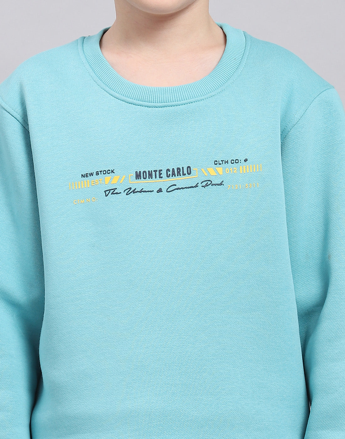 Boys Blue Printed Round Neck Full Sleeve Sweatshirt