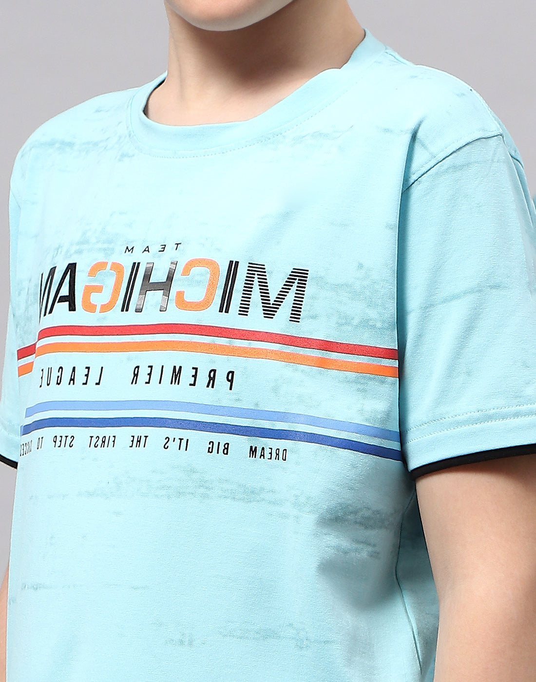 Boys Blue Printed Round Neck Half Sleeve T-Shirt