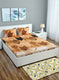 Multi Color 200 TC Bedsheet with 2 Pillow Covers