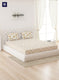 144 TC Cotton Double Bedsheet with 2 Pillow Covers