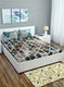 Multi Color 200 TC Bedsheet with 2 Pillow Covers