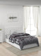 Printed Mink Single Blanket for Heavy Winter -2 Ply