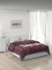 Printed Mink Double Blanket for Heavy Winter -2 Ply